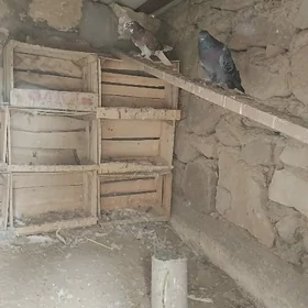 kepderi