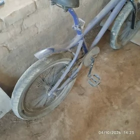 TigirTigir