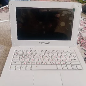 bilimli