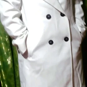 Palto