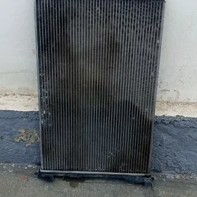 kemri radiator 2021