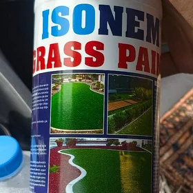 çim otyň  kraskasy ýaşyl