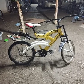 tigir 20 RALLI
