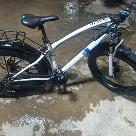 BMW SPORT WELOSIPED