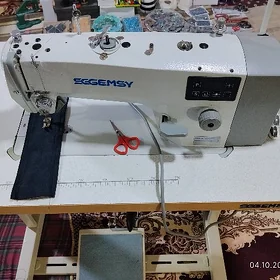 Sg Gemsy dikin maşyn