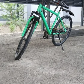 turkmenistan tigir