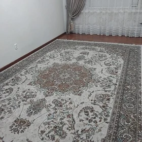 iran haly