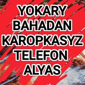 Karopkasyz telefon alÿas