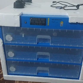 inkubator