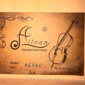 Gitara Aileen