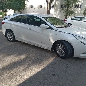 Hyundai Sonata 2010