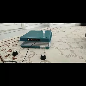 inkubator