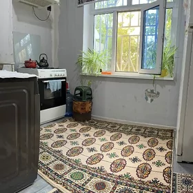 БИЗМЕИН ГРЕСС 1 КОМН 46 КВМ