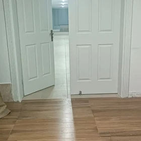SATLYK  pomeşeniýe eyesinden