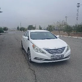Hyundai Sonata 2011