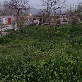 4 sotok Bagyr