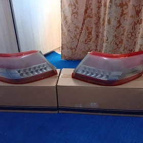 Öküz kemry yzky çyra