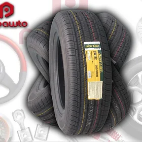 TEKER❗WestLake 205/65 R15