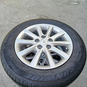 16 xle disga pakrysga