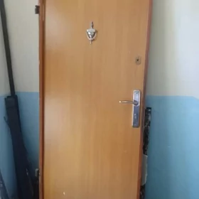 входная дверь