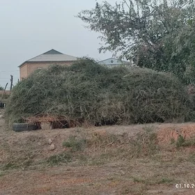 Ёрунжа.