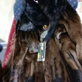 lama palto