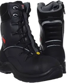 Sapok redwing