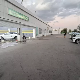 arenda islenik gornuşde