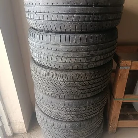 245/55/19