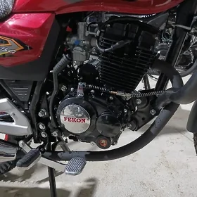 Fekon FK200-14G 2026