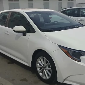 Toyota Corolla 2020