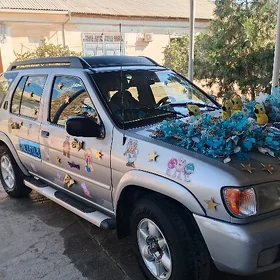 Nissan Pathfinder 2002