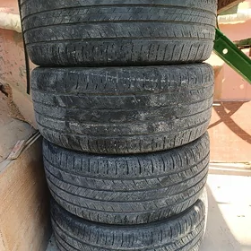 pakryşka R18