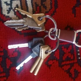 Tapylan topbak acar