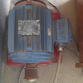 elektro mator zawaskow