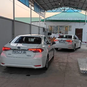 Toyota Corolla 2024