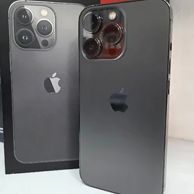 13 pro
