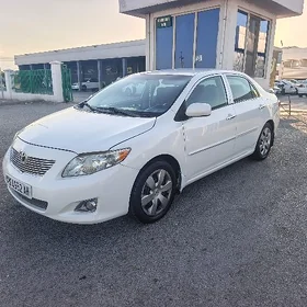 Toyota Corolla 2008