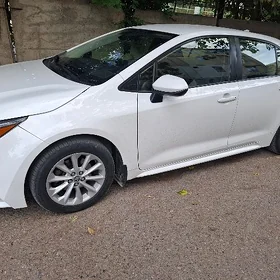 Toyota Corolla 2020