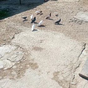 kepderi