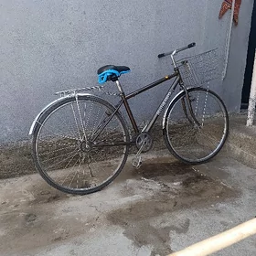 ýapoşga tigir