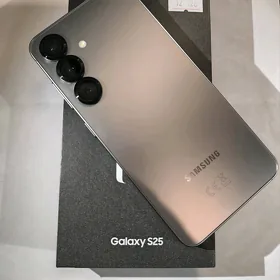 SAMSUNG S25