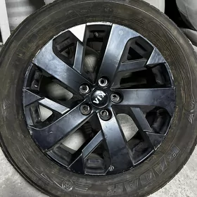 21 Sorento Diska LXS