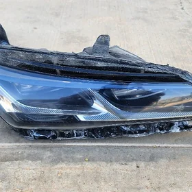 Avalon fara 2019