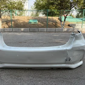 Corolla yewropeyka