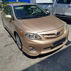 Toyota Corolla 2011