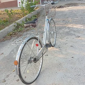 27 yaponski tigir