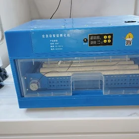 Inkubator 30 yumurtgalyk
