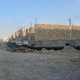 lebap gurlusyk