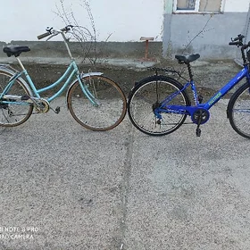 Orginal Ŷaposka tigir